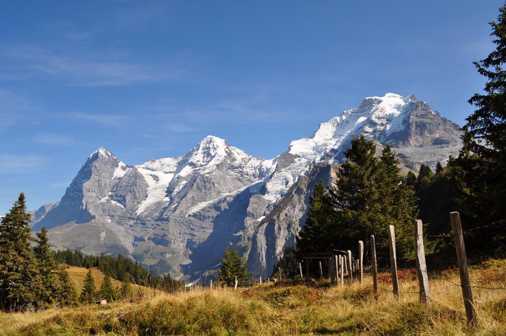 Bim Chilchli Mürren