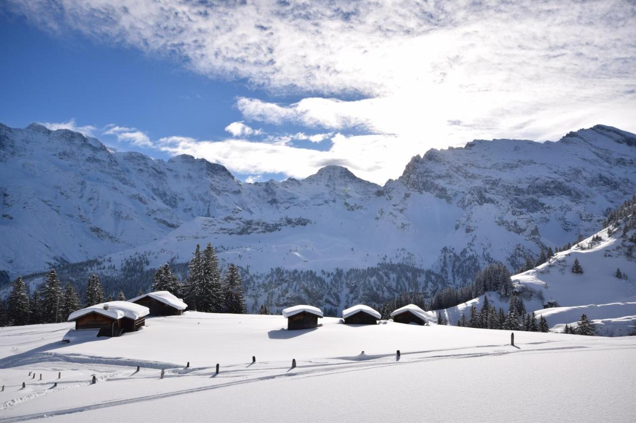 Bim Chilchli Appartement Mürren